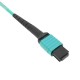Cable Fanout de fibra óptica OM3 multimodo 50µm/125µm MTP/PC a 12 x LC/PC 10Gb de 2 m