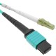 Cable Fanout de fibra óptica OM3 multimodo 50µm/125µm MTP/PC a 12 x LC/PC 10Gb de 3 m
