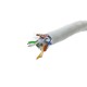 Bobina de cable FTP Cat.6A 23AWG rígido gris 100m
