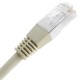 Cable FTP categoría 6A gris 1m