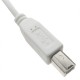 Cable USB 2.0 AB macho blanco 20cm