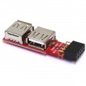 Conversor USB de placa madre 2x5 pin a 2xAH